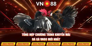 khuyến mãi đá gà vn88