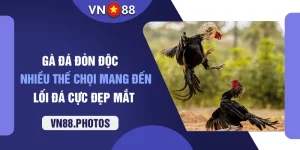 gà đá đòn độc vn88