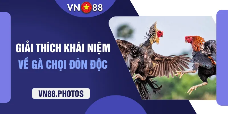 Giải thích khái niệm về gà chọi đòn độc